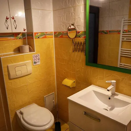Apartament Cu Terasa Si Gratar